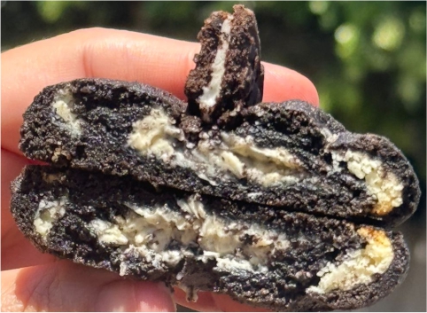 Cookie GalakNegresco
