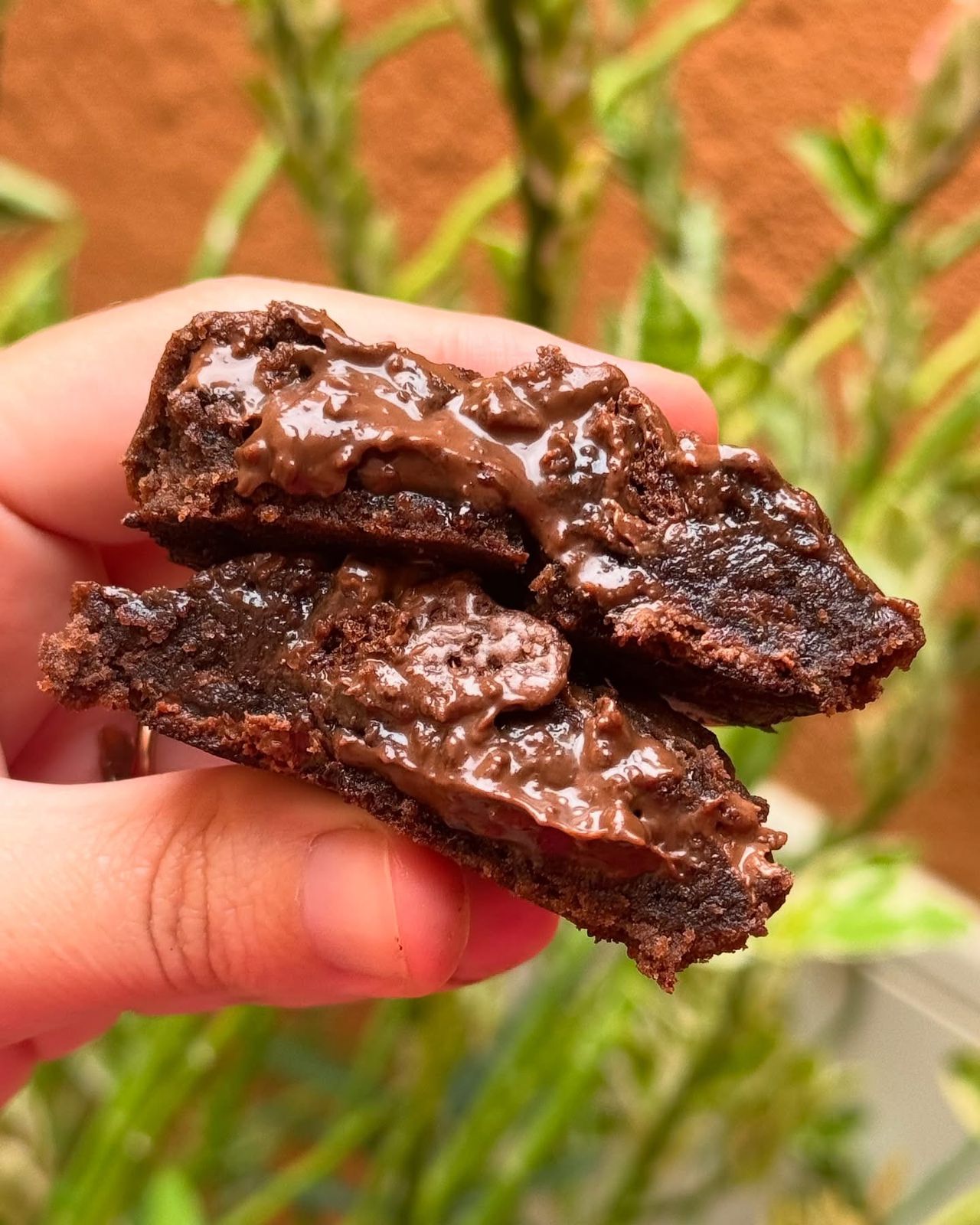 Cookie Ovomaltine
